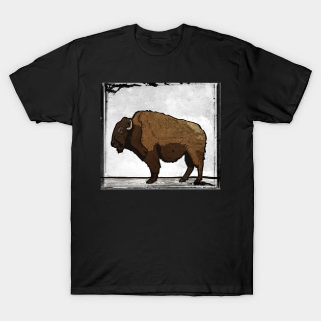 Digital Pop Art Modern Bison Buffalo Print T-Shirt by SodaArtStudio